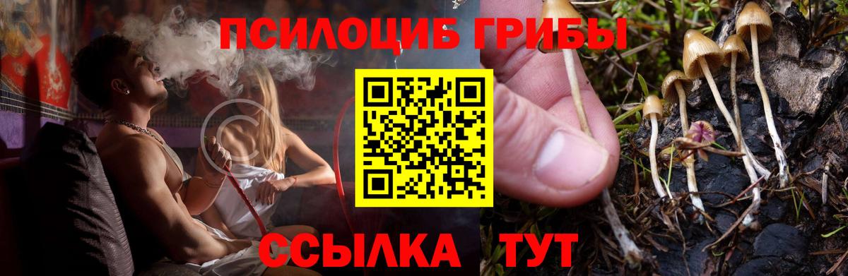 Галлюциногенные грибы Magic Shrooms Кызыл