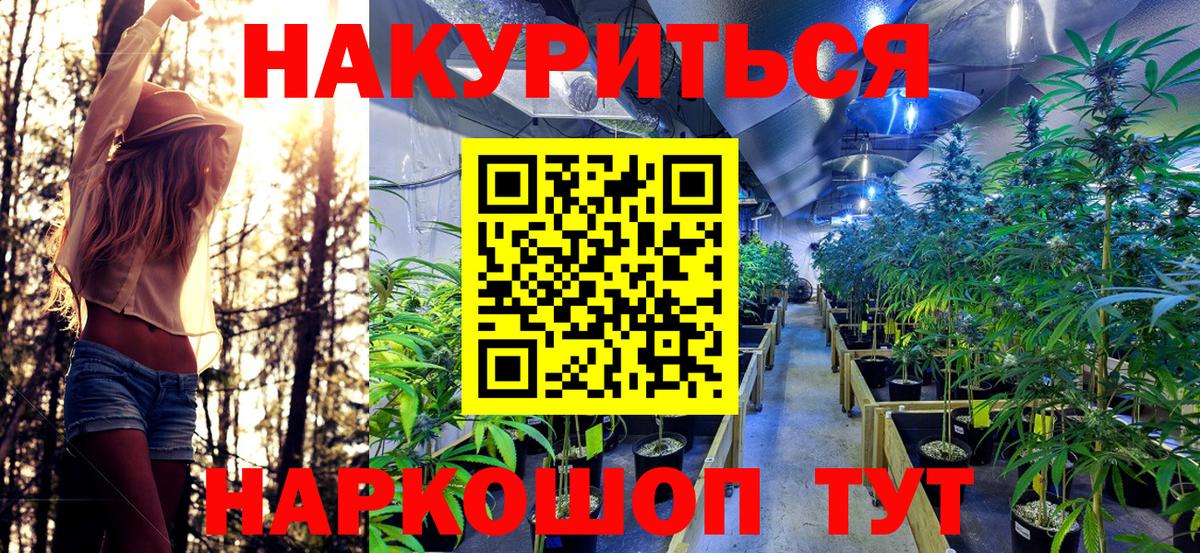Кызыл  Каннабис семена  Вход с VPN  Каннабис план 